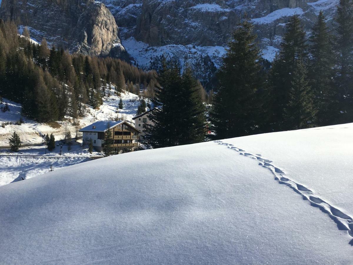 Chalet Albric Apartment Selva di Val Gardena Exterior photo